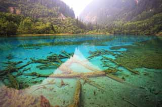 foto,tela,gratis,paisaje,fotografía,idea,De Jiuzhaigou Gohanaumi, , , , 