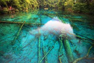 foto,tela,gratis,paisaje,fotografía,idea,De Jiuzhaigou Gohanaumi, , , , 