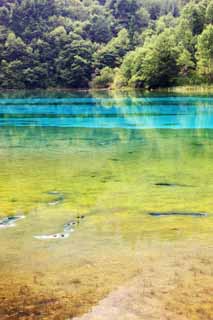 foto,tela,gratis,paisaje,fotografía,idea,De Jiuzhaigou Gohanaumi, , , , 