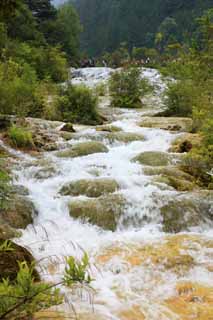 fotografia, materiale, libero il panorama, dipinga, fotografia di scorta,Chintamanada Jiuzhaigou, , , , 