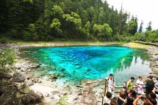 foto,tela,gratis,paisaje,fotografía,idea,Cinco colores de Jiuzhaigou estanque, , , , 