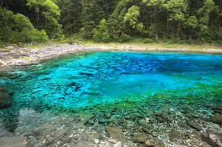 foto,tela,gratis,paisaje,fotografía,idea,Cinco colores de Jiuzhaigou estanque, , , , 