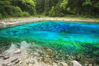 foto,tela,gratis,paisaje,fotografía,idea,Cinco colores de Jiuzhaigou estanque, , , , 