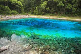 foto,tela,gratis,paisaje,fotografía,idea,Cinco colores de Jiuzhaigou estanque, , , , 