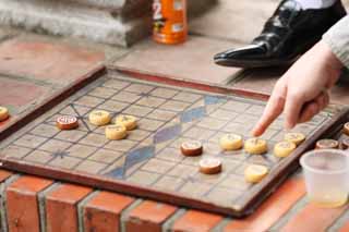 photo, la matière, libre, aménage, décrivez, photo de la réserve,Vietnam Shogi, , , , 