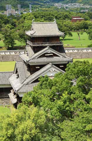 fotografia, materiale, libero il panorama, dipinga, fotografia di scorta,Al Castello di Kumamoto, , , , 