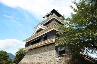 foto,tela,gratis,paisaje,fotografía,idea,En el castillo de Kumamoto, , , , 