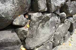 fotografia, materiale, libero il panorama, dipinga, fotografia di scorta,Al Castello di Kumamoto, , , , 