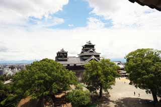 foto,tela,gratis,paisaje,fotografía,idea,En el castillo de Kumamoto, , , , 