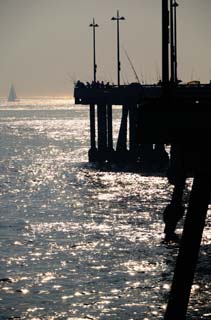 foto,tela,gratis,paisaje,fotografía,idea,Pescadores por la tarde, Rod de pesca, Mar, Yate, Horizonte