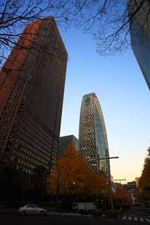 photo, la matière, libre, aménage, décrivez, photo de la réserve,Shinjuku de bâtiment de haute élévation, crépuscule, , , , 