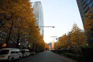 photo, la matière, libre, aménage, décrivez, photo de la réserve,Shinjuku de bâtiment de haute élévation, crépuscule, , , , 