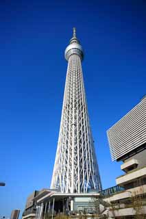 fotografia, materiale, libero il panorama, dipinga, fotografia di scorta,Sky Tree, , , , 