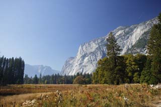 Ôîòî, ìàòåðèàëüíûé, ñâîáîäíûé, ïåéçàæ, ôîòîãðàôèÿ, ôîòî ôîíäà.,Yosemite âîëåéáîë., grassy îáûêíîâåííûé, Ñêàëà, , Äåðåâî