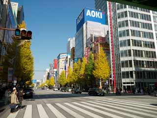 fotografia, materiale, libero il panorama, dipinga, fotografia di scorta,Akihabara, , , , 