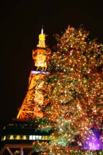 foto,tela,gratis,paisaje,fotografía,idea,Un árbol de Navidad y una torre, Cielo de noche, X 'mas, Iluminación, Torre