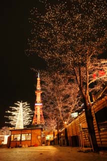 foto,tela,gratis,paisaje,fotografía,idea,La noche de un parque de calle principal, Cielo de noche, Luz, Iluminación, Torre