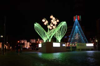 foto,tela,gratis,paisaje,fotografía,idea,Objeto de arte de Illuminations, Cielo de noche, Luz, Iluminación, Lirio del valle