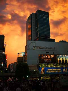 photo, la matière, libre, aménage, décrivez, photo de la réserve,Coucher de soleil étincelant Shibuya, , , , 