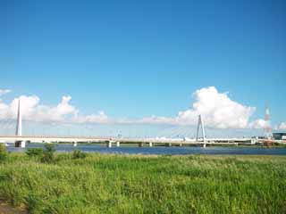 fotografia, materiale, libero il panorama, dipinga, fotografia di scorta,Il Tamagawa, , , , 