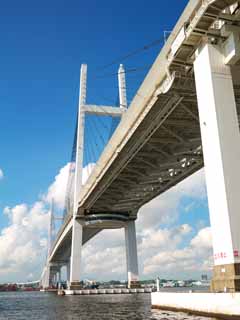 fotografia, materiale, libero il panorama, dipinga, fotografia di scorta,Il Bay Bridge, , , , 