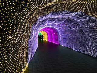 fotografia, materiale, libero il panorama, dipinga, fotografia di scorta,Tunnel di luce, , , , 