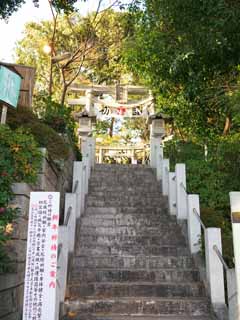 foto,tela,gratis,paisaje,fotografía,idea,La Tamagawa Sengen Shrine, , , , 