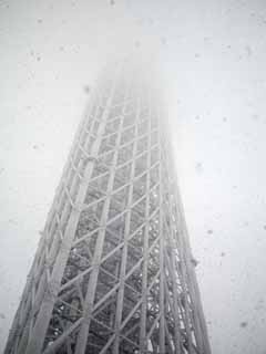 fotografia, materiale, libero il panorama, dipinga, fotografia di scorta,La neve Sky Tree, , , , 