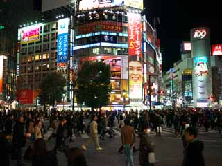 foto,tela,gratis,paisaje,fotografía,idea,La intersección de Shibuya., , , , 