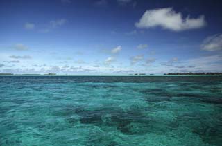 photo,material,free,landscape,picture,stock photo,Creative Commons,The sea which it is clear, and go, island, Coral, , Water