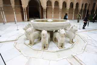 photo,material,free,landscape,picture,stock photo,Creative Commons,Alhambra Palace Lion patio, , , , 