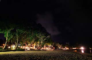 foto,tela,gratis,paisaje,fotografía,idea,La estrella que cae dentro de una playa confidencial, Playa, Playa arenosa, Estrella, Árbol