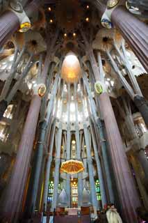 foto,tela,gratis,paisaje,fotografía,idea,La Sagrada Familia, , , , 