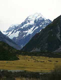 fotografia, materiale, libero il panorama, dipinga, fotografia di scorta,Monte Cook, , , , 