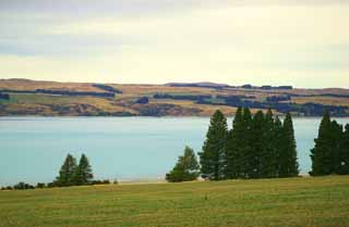 foto,tela,gratis,paisaje,fotografía,idea,El lago Pukaki, , , , 