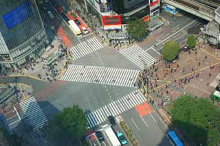 foto,tela,gratis,paisaje,fotografía,idea,Codificación de la intersección de Shibuya., , , , 