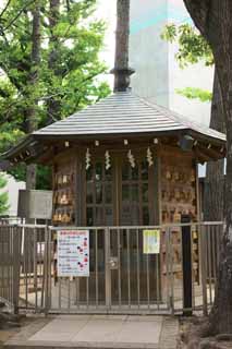 foto,tela,gratis,paisaje,fotografía,idea,Santuario Hachiman Hatomori shogi hall, , , , 