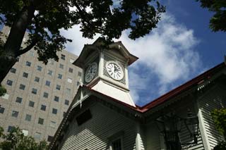 foto,tela,gratis,paisaje,fotografía,idea,Torre de reloj de Sapporo, Torre de reloj, Reloj, Sitio de turismo, Sapporo