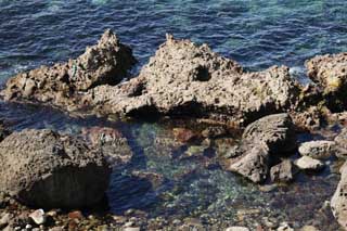 foto,tela,gratis,paisaje,fotografía,idea,Piscina de marea, Arrecife, Agua, Transparence, Ola