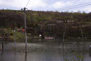 foto,tela,gratis,paisaje,fotografía,idea,Fenomenal desastre, Erupción, Desastre, Poste de teléfonos, Ser enterrado en el agua