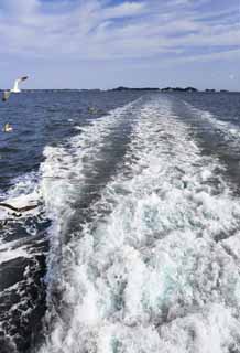 fotografia, materiale, libero il panorama, dipinga, fotografia di scorta,Una pista, pista, bolla, gabbiano, Il mare