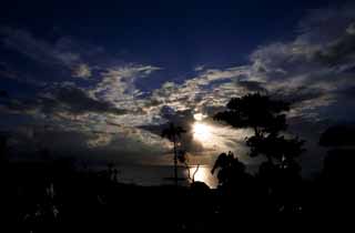 photo, la matière, libre, aménage, décrivez, photo de la réserve,Une silhouette de pays du sud, palmier, Le soleil du cadre, nuage, La mer