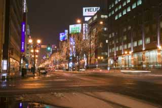 foto,tela,gratis,paisaje,fotografía,idea,Vista de noche de Sapporo, Camino nieve -covered, Árbol de zona lateral de camino, Camino por la noche, Lámpara de cola