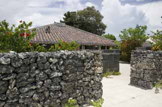 foto,tela,gratis,paisaje,fotografía,idea,Una casa de la pared de Ishigaki, Cimentación con pilotes - piedras, Techo, Barra de arena, Flor