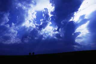 foto,tela,gratis,paisaje,fotografía,idea,Luz del gospel, Nube, Línea ligera, Voz del cielo, Hilera de árboles