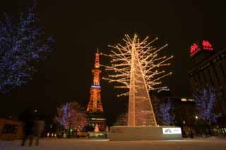 foto,tela,gratis,paisaje,fotografía,idea,La noche de un parque de calle principal, Illuminations, Torre de ola eléctrica, Parque, Luz