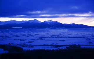 foto,tela,gratis,paisaje,fotografía,idea,El amanecer de Furano, Campo cubierto de nieve, Montaña, Árbol, Campo