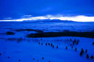 foto,tela,gratis,paisaje,fotografía,idea,El amanecer de Furano, Campo cubierto de nieve, Montaña, Árbol, Campo