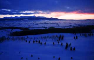 foto,tela,gratis,paisaje,fotografía,idea,El brillo matutino de diez cordillera de victorias, Campo cubierto de nieve, Montaña, Árbol, Campo