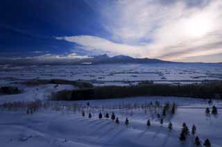 foto,tela,gratis,paisaje,fotografía,idea,Mañana de Furano, Campo cubierto de nieve, Montaña, Árbol, Campo